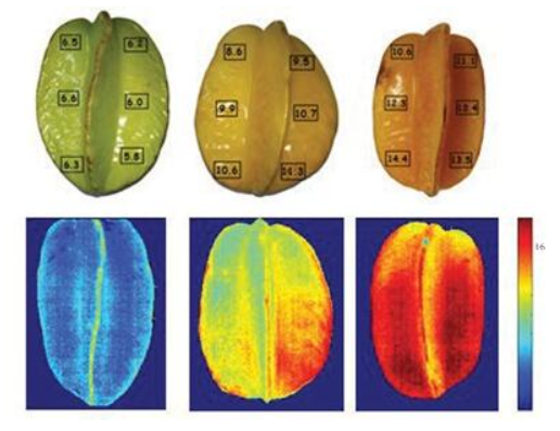 ��ҳ| ����֮��hy590���¹ٷ���վ