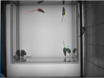 ��ҳ| ����֮��hy590���¹ٷ���վ