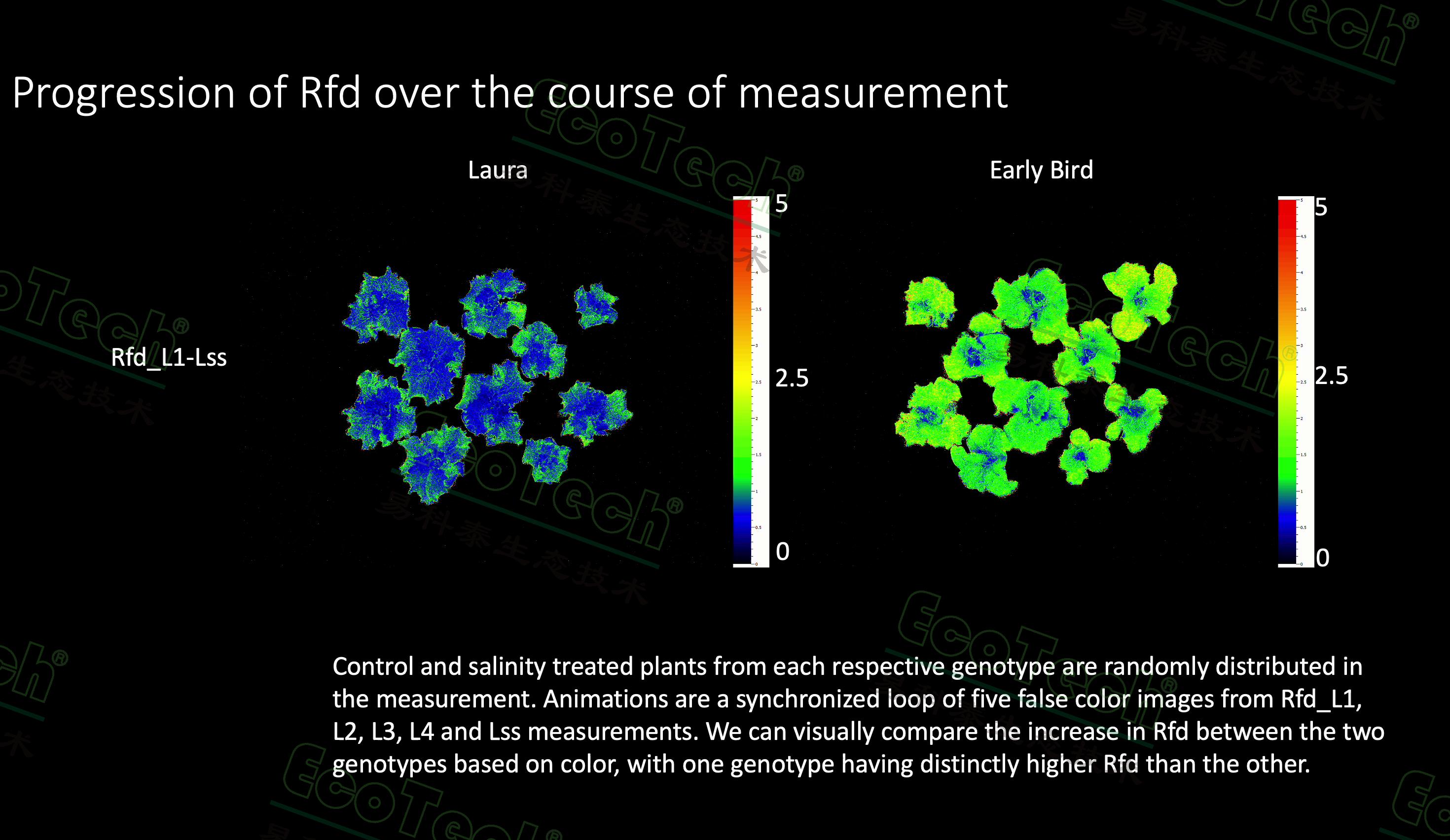 ��ҳ| ����֮��hy590���¹ٷ���վ