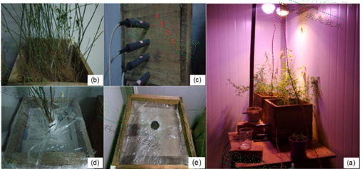 ��ҳ| ����֮��hy590���¹ٷ���վ