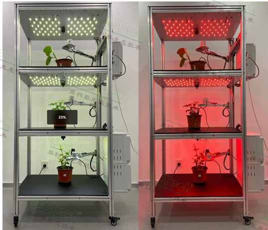 ��ҳ| ����֮��hy590���¹ٷ���վ