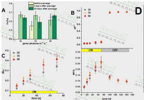 ��ҳ| ����֮��hy590���¹ٷ���վ