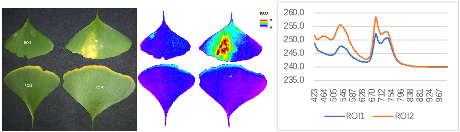 微信截图_20230818140212.png 微信截图_20230818140212.png