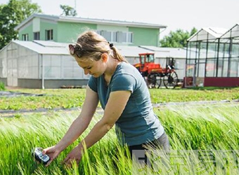 FP-leafҶ��ʽֲ�������Ҷ����ӫ��������