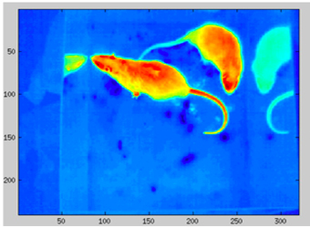 VISIR������Ϊ�Ӳ�����ϵͳ