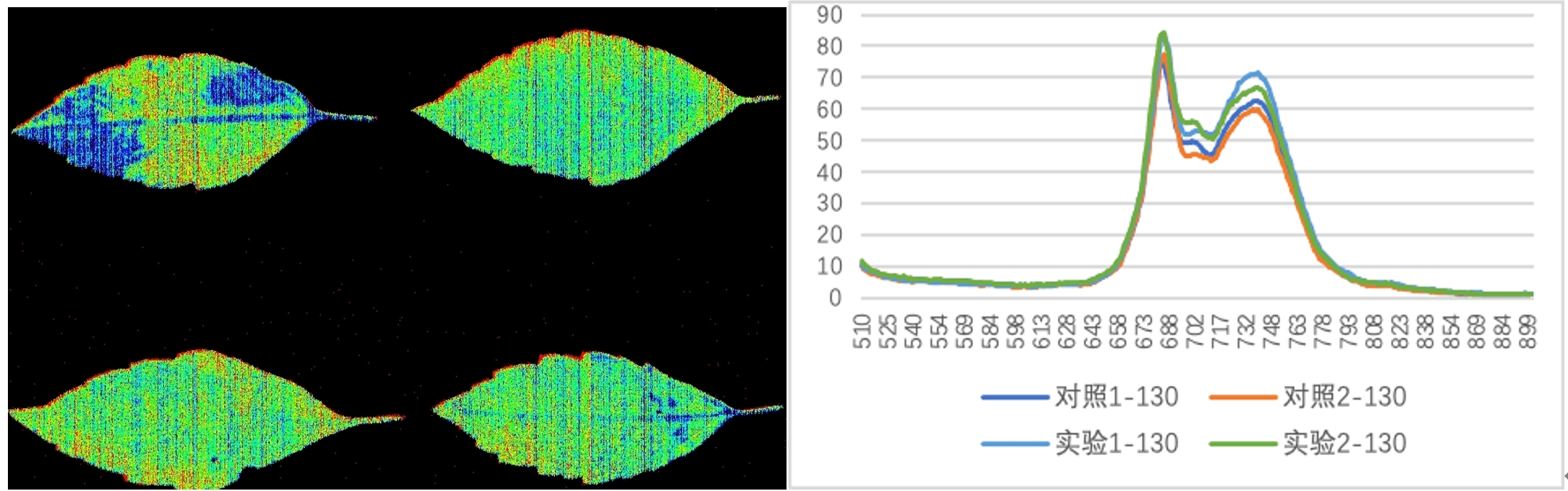 首页| 海洋之神hy590最新官方网站