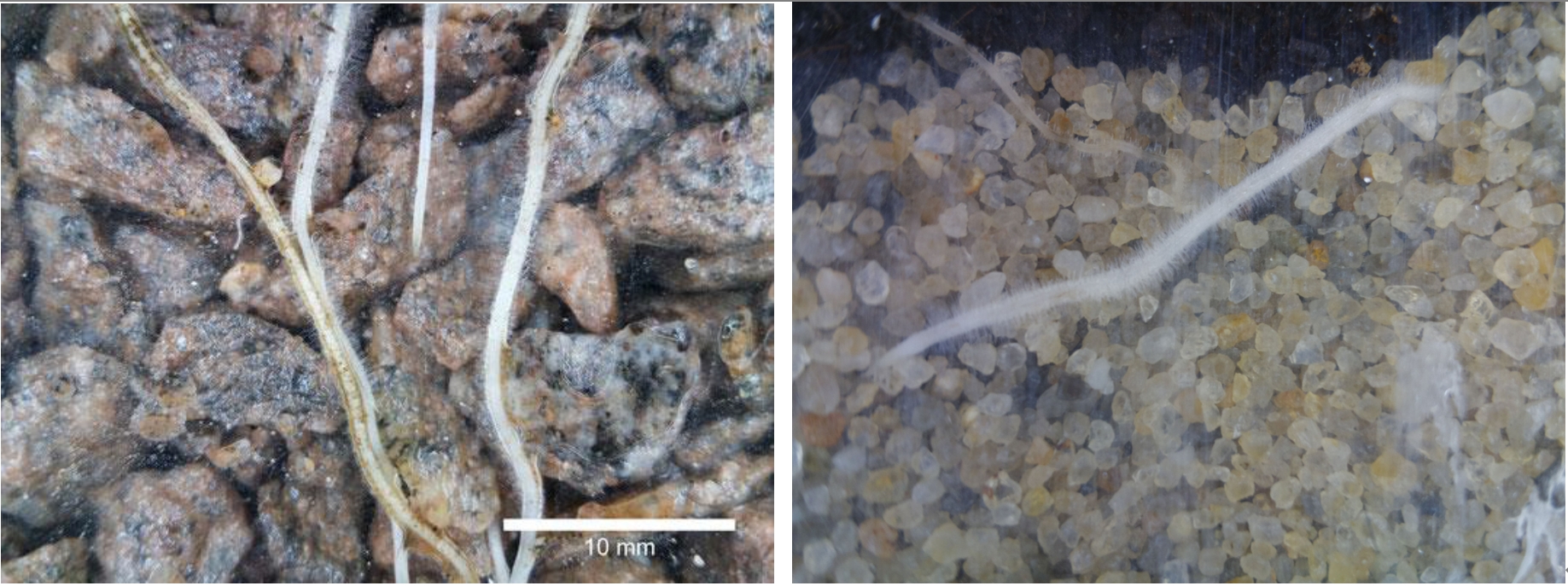 ��ҳ| ����֮��hy590���¹ٷ���վ