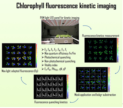 Ê×Ò³| º£ÑóÖ®Éñhy590×îйٷ½ÍøÕ¾