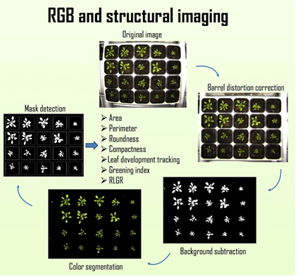 Ê×Ò³| º£ÑóÖ®Éñhy590×îйٷ½ÍøÕ¾