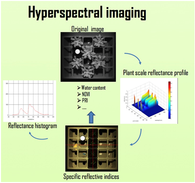 Ê×Ò³| º£ÑóÖ®Éñhy590×îйٷ½ÍøÕ¾