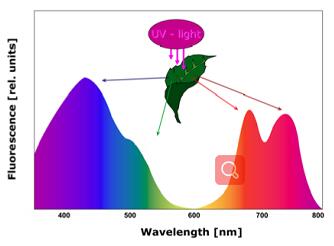 Ê×Ò³| º£ÑóÖ®Éñhy590×îйٷ½ÍøÕ¾