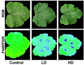Ê×Ò³| º£ÑóÖ®Éñhy590×îйٷ½ÍøÕ¾