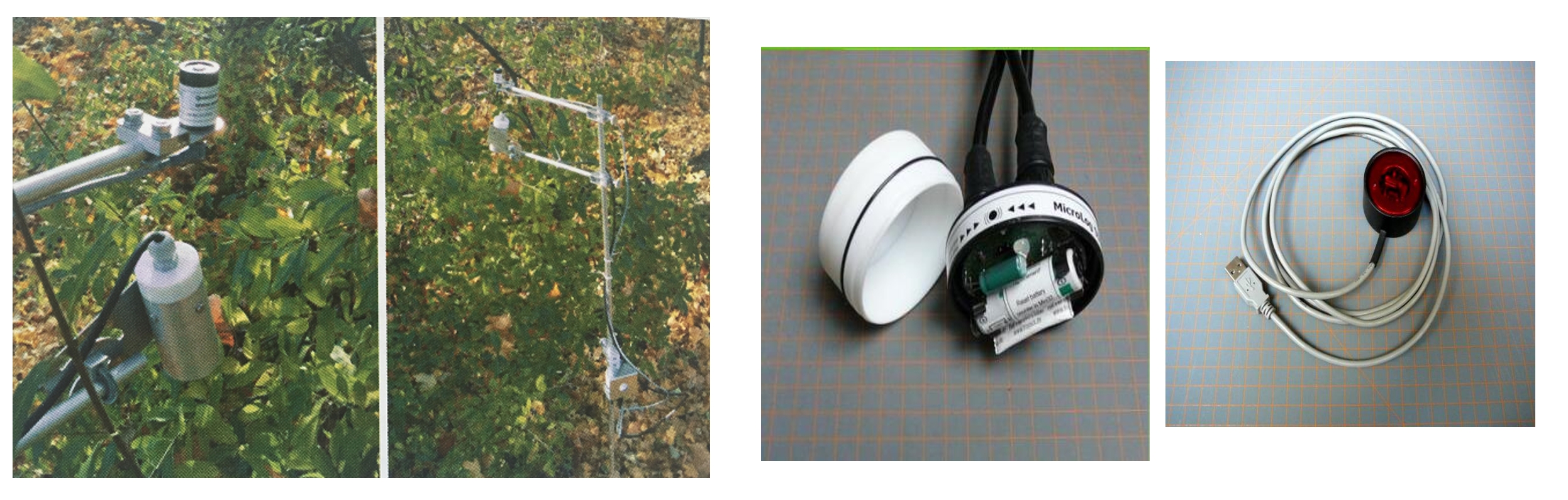 Ê×Ò³| º£ÑóÖ®Éñhy590×îйٷ½ÍøÕ¾