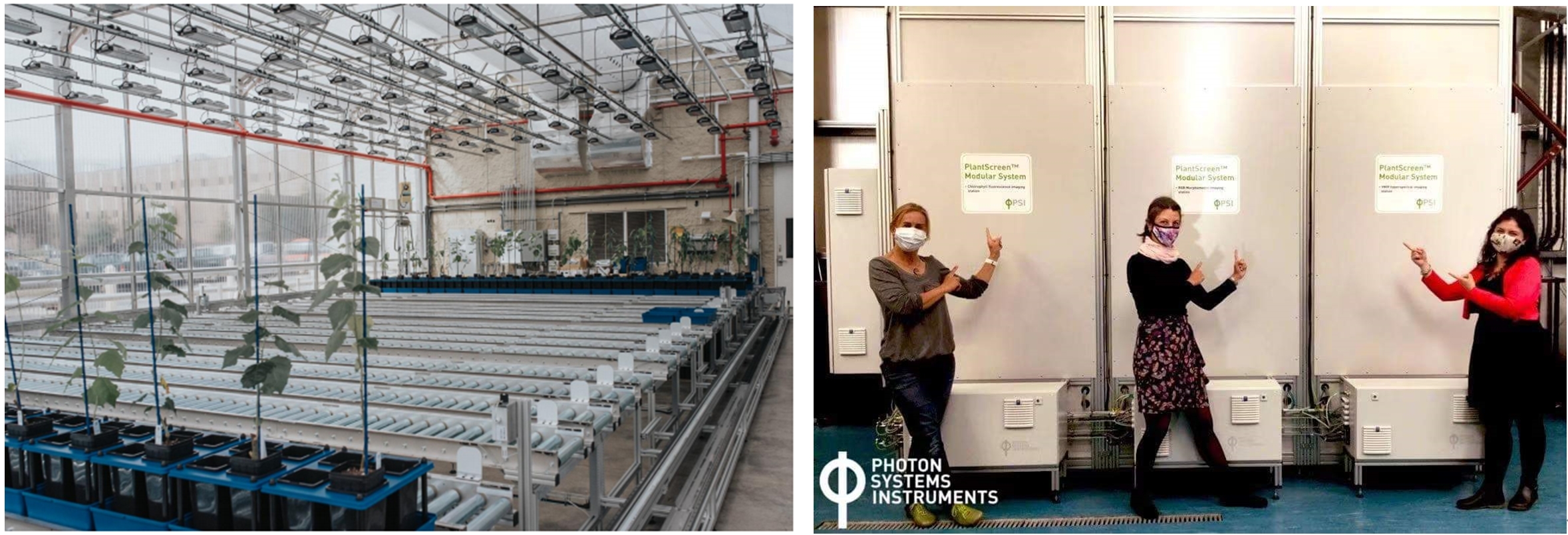 首页| 海洋之神hy590最新官方网站