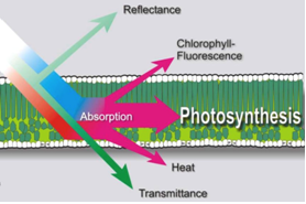 Ê×Ò³| º£ÑóÖ®Éñhy590×îйٷ½ÍøÕ¾