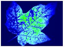 ��ҳ| ����֮��hy590���¹ٷ���վ