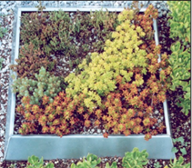 Ê×Ò³| º£ÑóÖ®Éñhy590×îйٷ½ÍøÕ¾