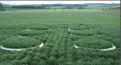 Ê×Ò³| º£ÑóÖ®Éñhy590×îйٷ½ÍøÕ¾