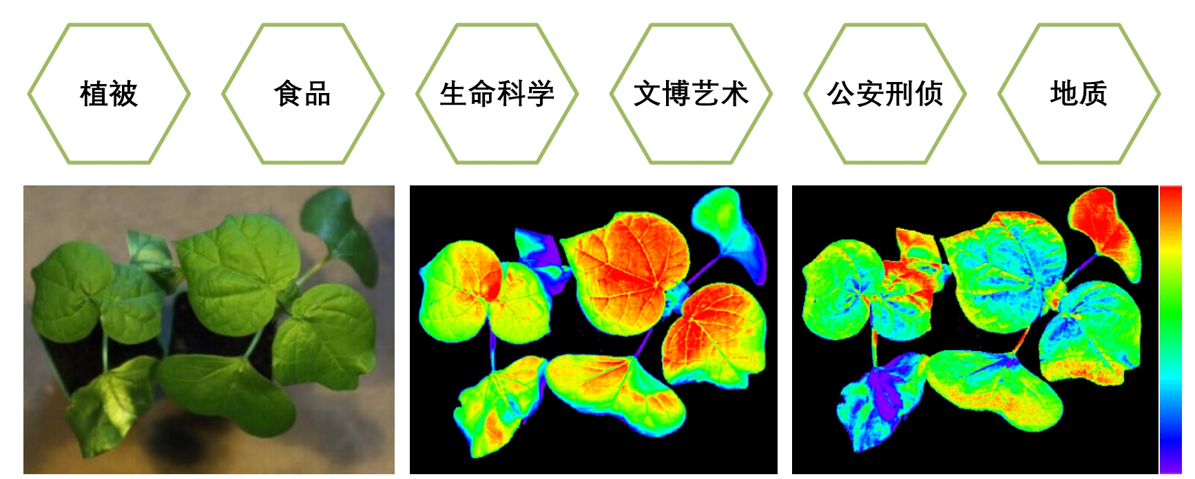 首页| 海洋之神hy590最新官方网站