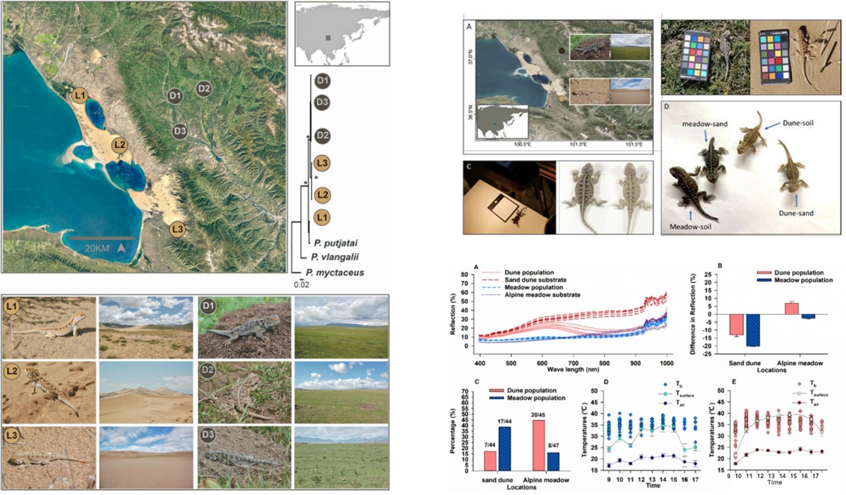 首页| 海洋之神hy590最新官方网站