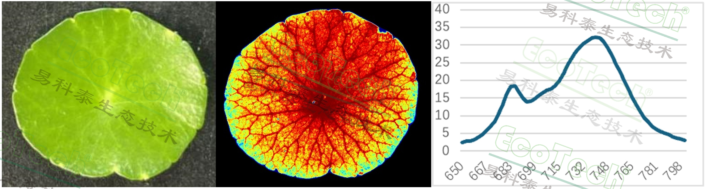 ��ҳ| ����֮��hy590���¹ٷ���վ