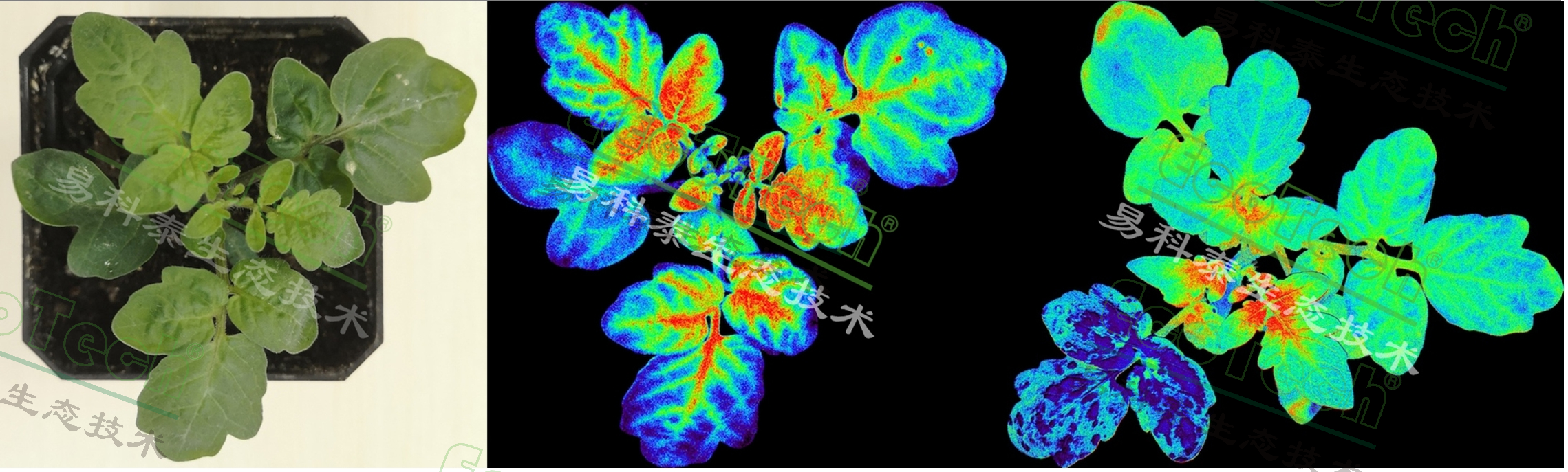 ��ҳ| ����֮��hy590���¹ٷ���վ