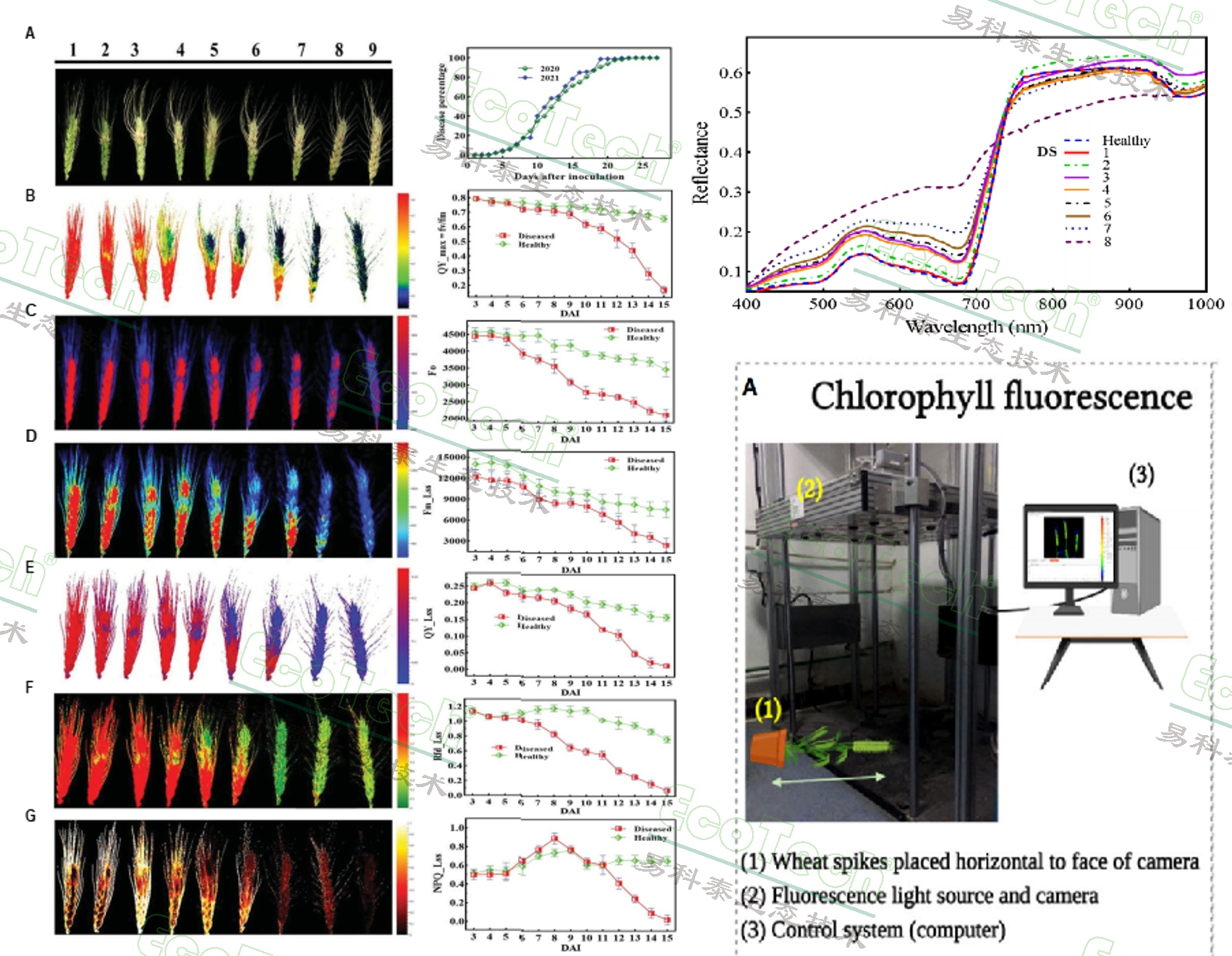 ��ҳ| ����֮��hy590���¹ٷ���վ