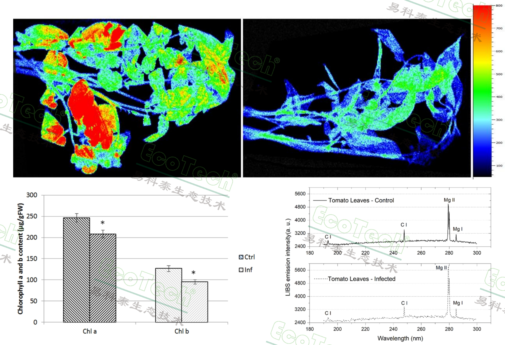 ��ҳ| ����֮��hy590���¹ٷ���վ