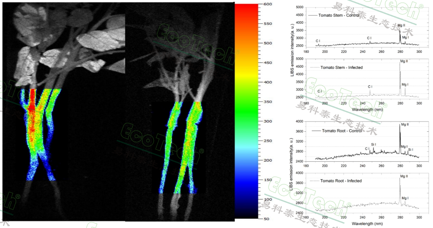 ��ҳ| ����֮��hy590���¹ٷ���վ