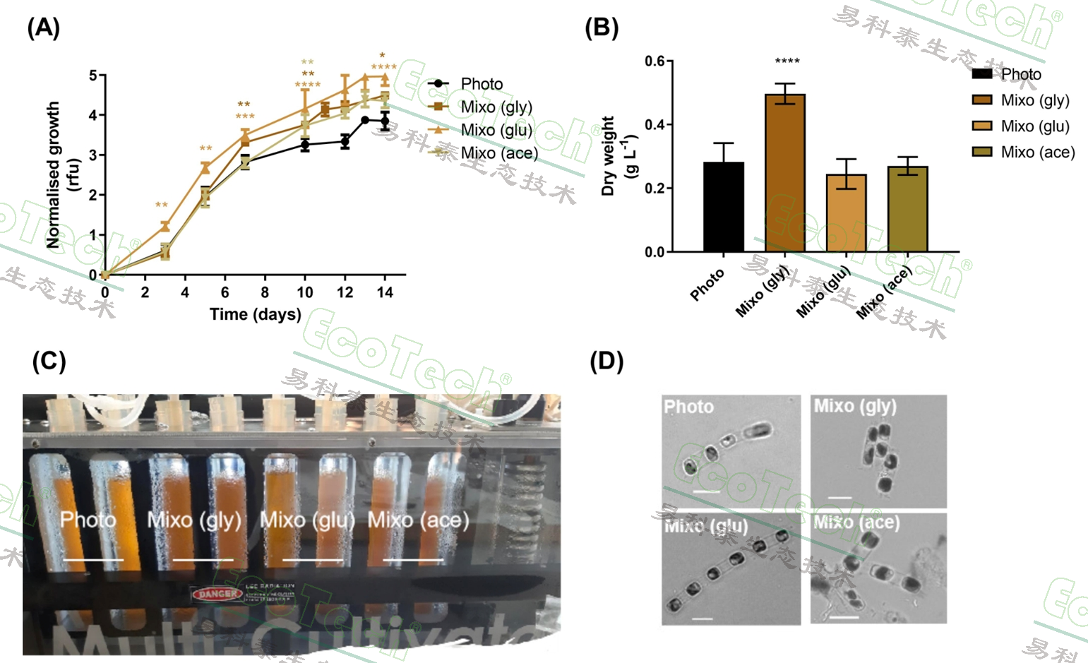 首页| 海洋之神hy590最新官方网站