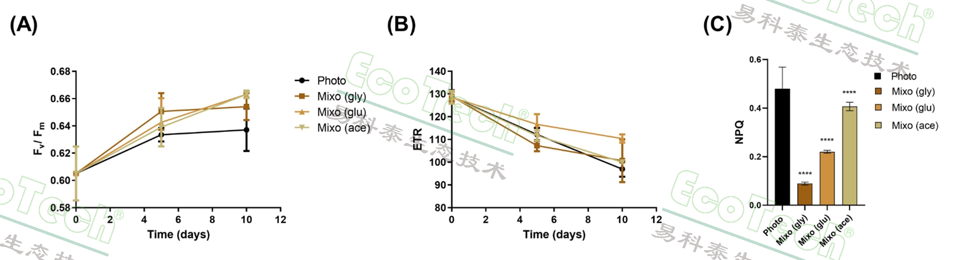 首页| 海洋之神hy590最新官方网站
