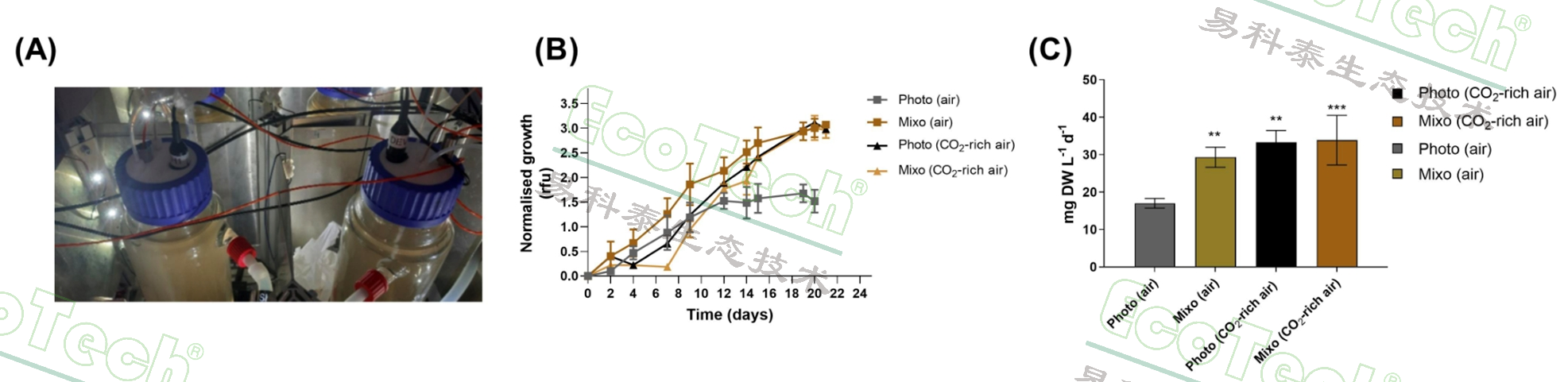 首页| 海洋之神hy590最新官方网站