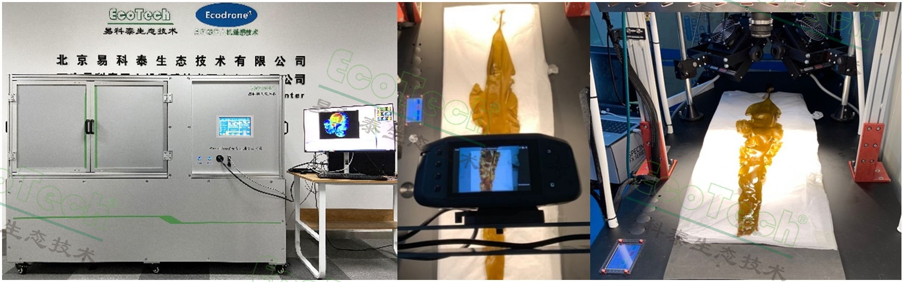 首页| 海洋之神hy590最新官方网站