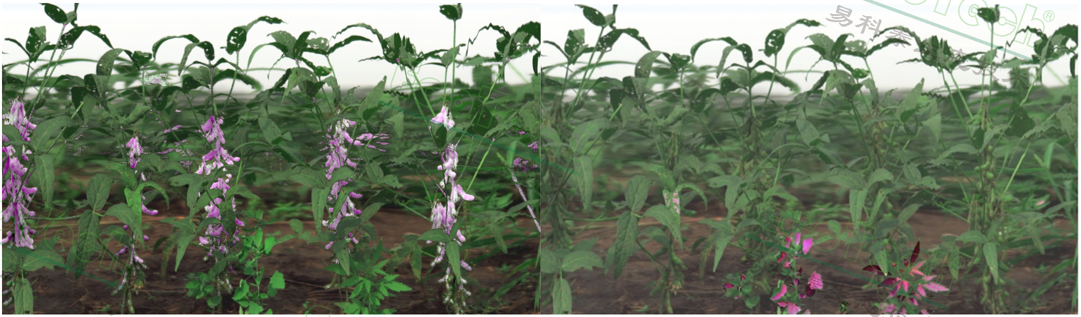 Ê×Ò³| º£ÑóÖ®Éñhy590×îйٷ½ÍøÕ¾