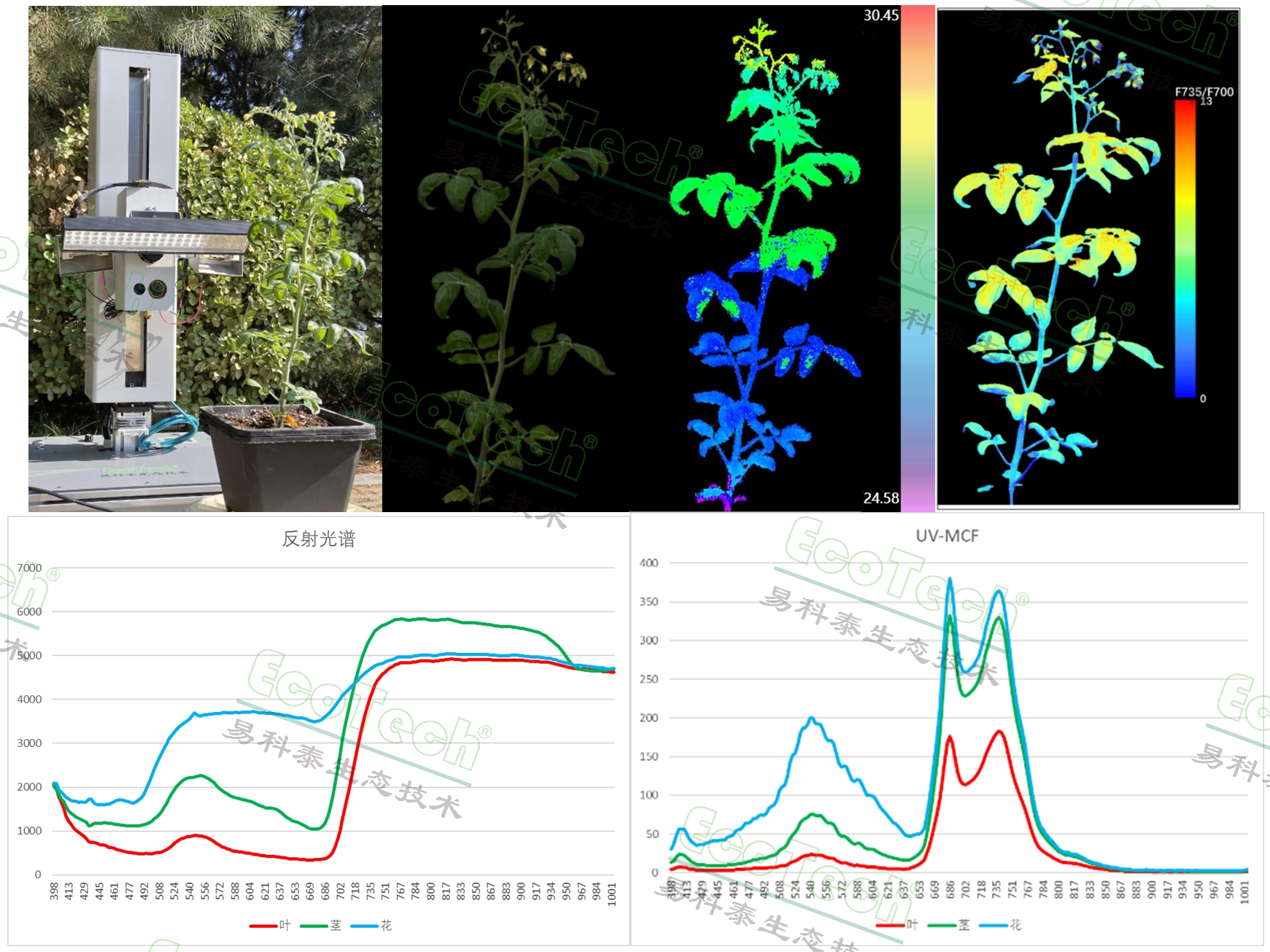 Ê×Ò³| º£ÑóÖ®Éñhy590×îйٷ½ÍøÕ¾