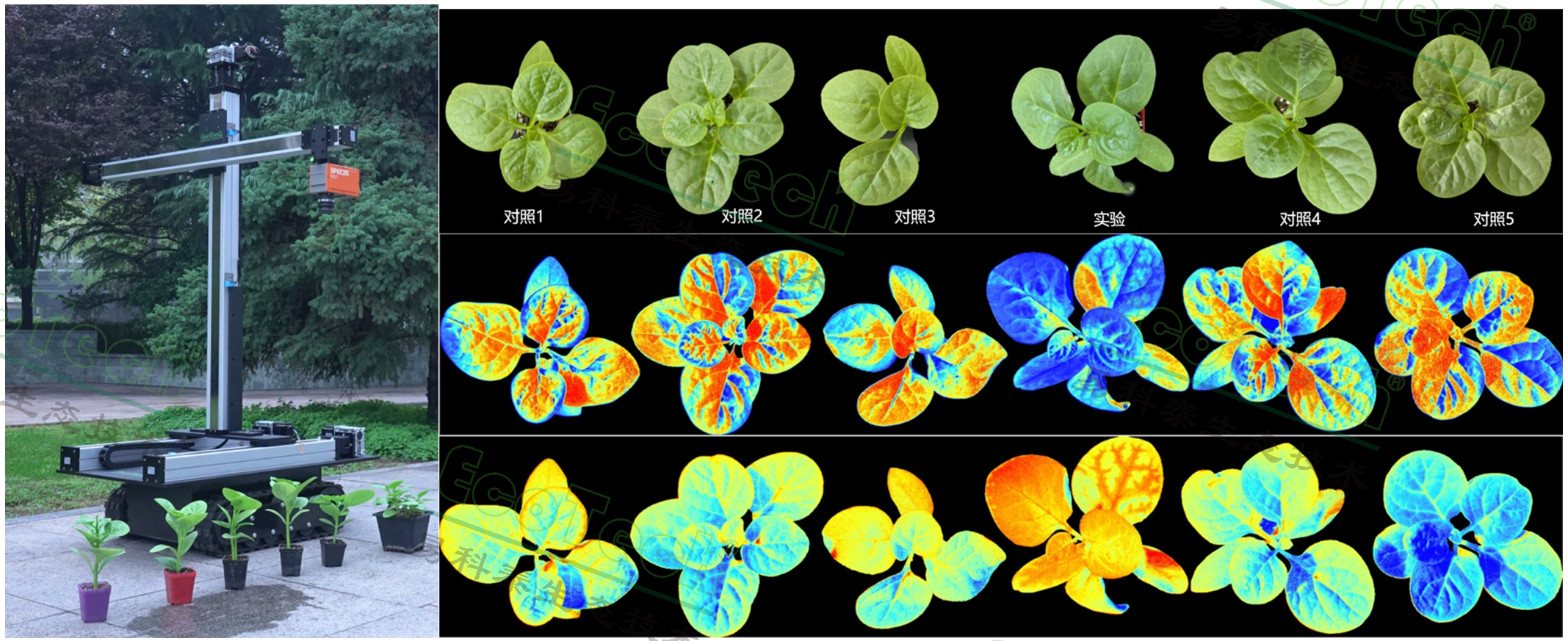 Ê×Ò³| º£ÑóÖ®Éñhy590×îйٷ½ÍøÕ¾