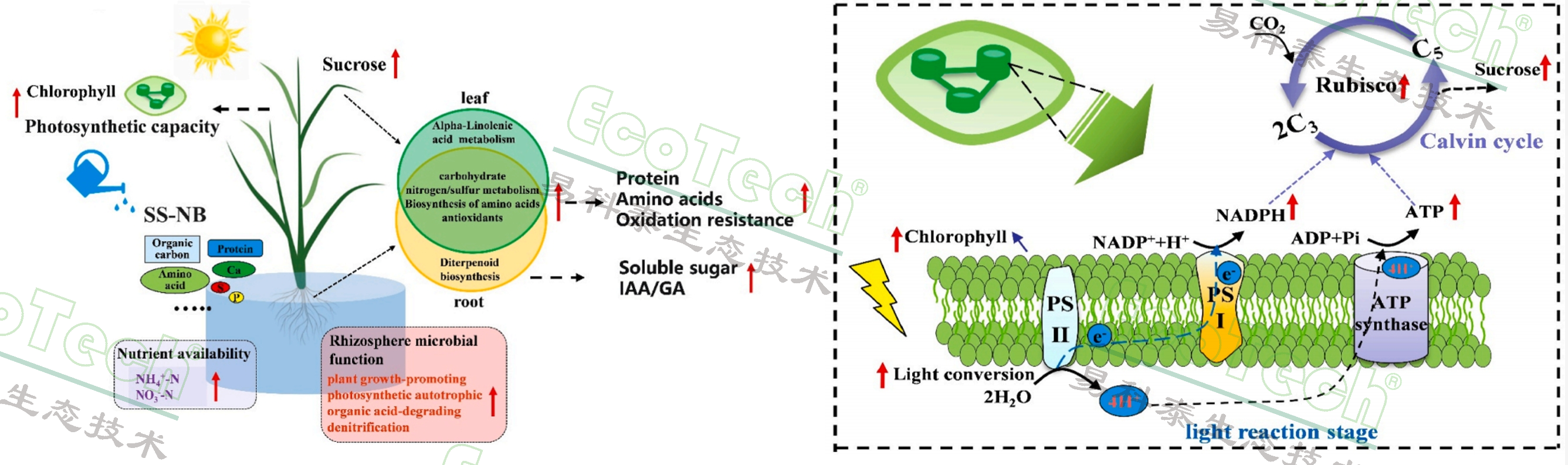 ��ҳ| ����֮��hy590���¹ٷ���վ