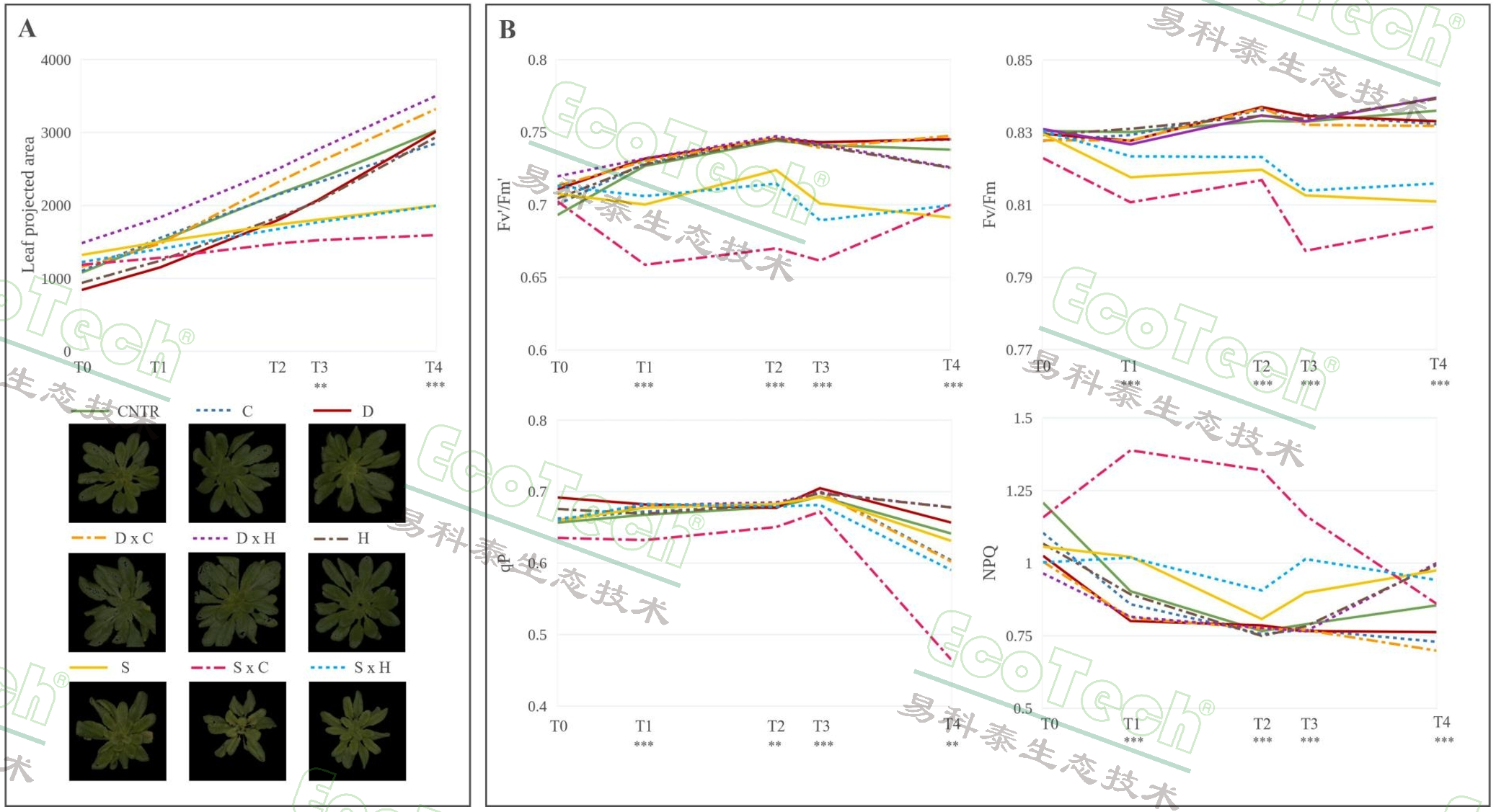 ��ҳ| ����֮��hy590���¹ٷ���վ