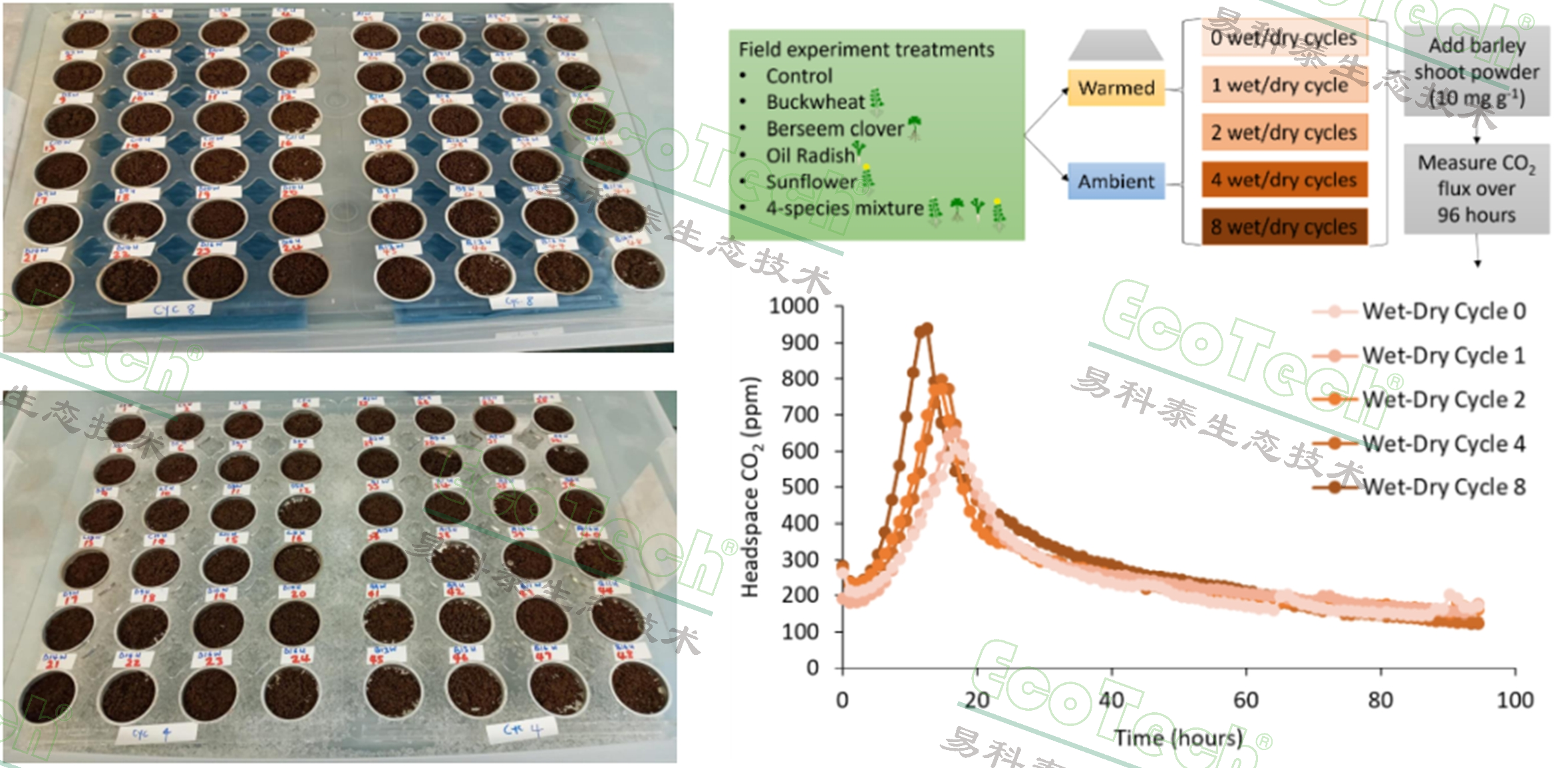 ��ҳ| ����֮��hy590���¹ٷ���վ