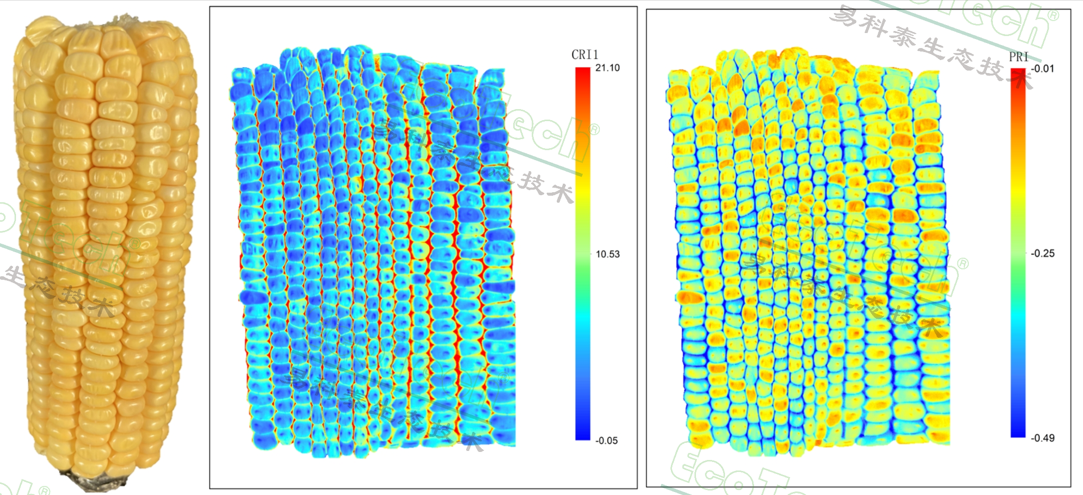 ��ҳ| ����֮��hy590���¹ٷ���վ