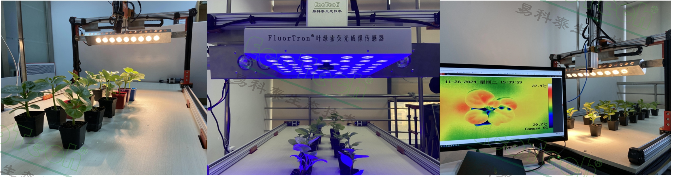 ��ҳ| ����֮��hy590���¹ٷ���վ