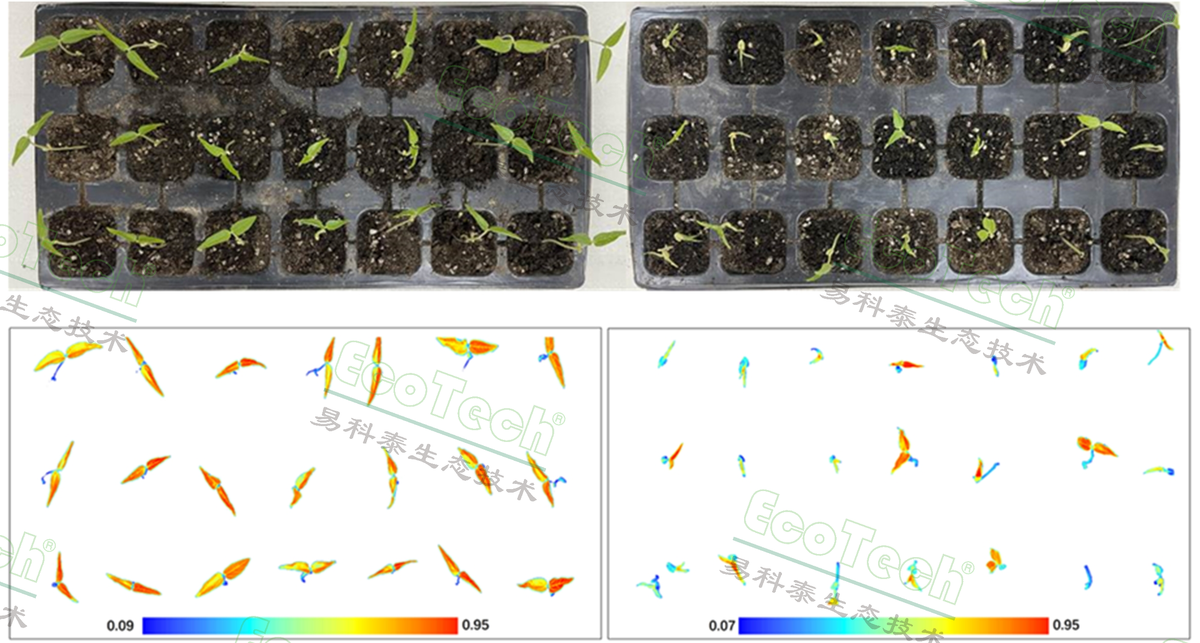 ��ҳ| ����֮��hy590���¹ٷ���վ