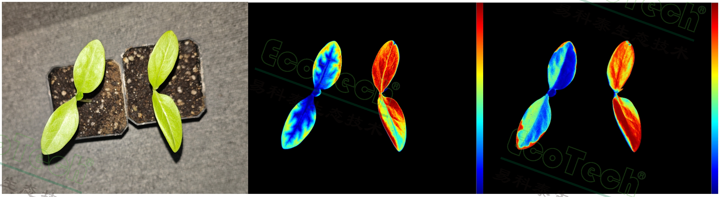 ��ҳ| ����֮��hy590���¹ٷ���վ