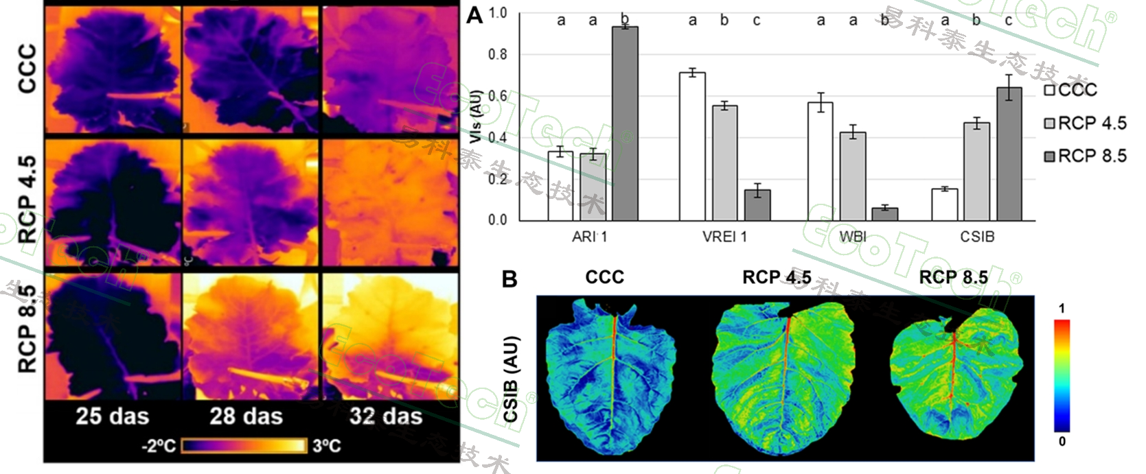 ��ҳ| ����֮��hy590���¹ٷ���վ