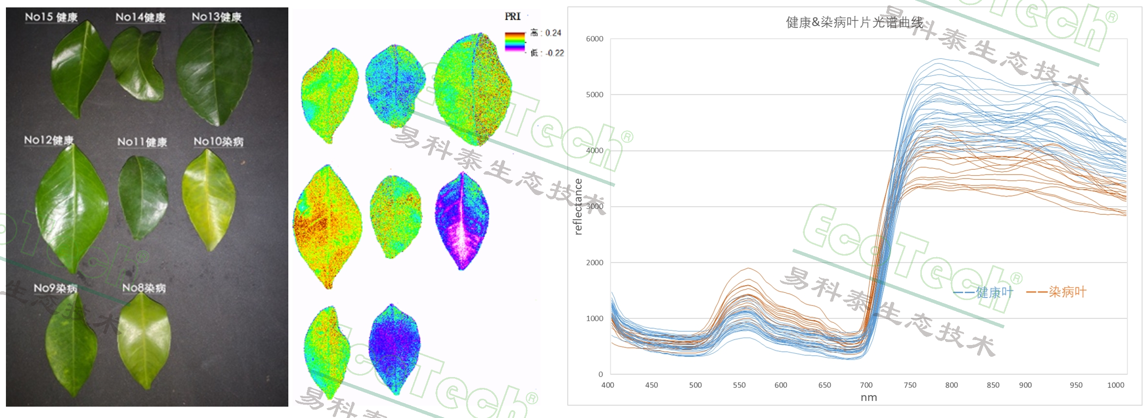 ��ҳ| ����֮��hy590���¹ٷ���վ