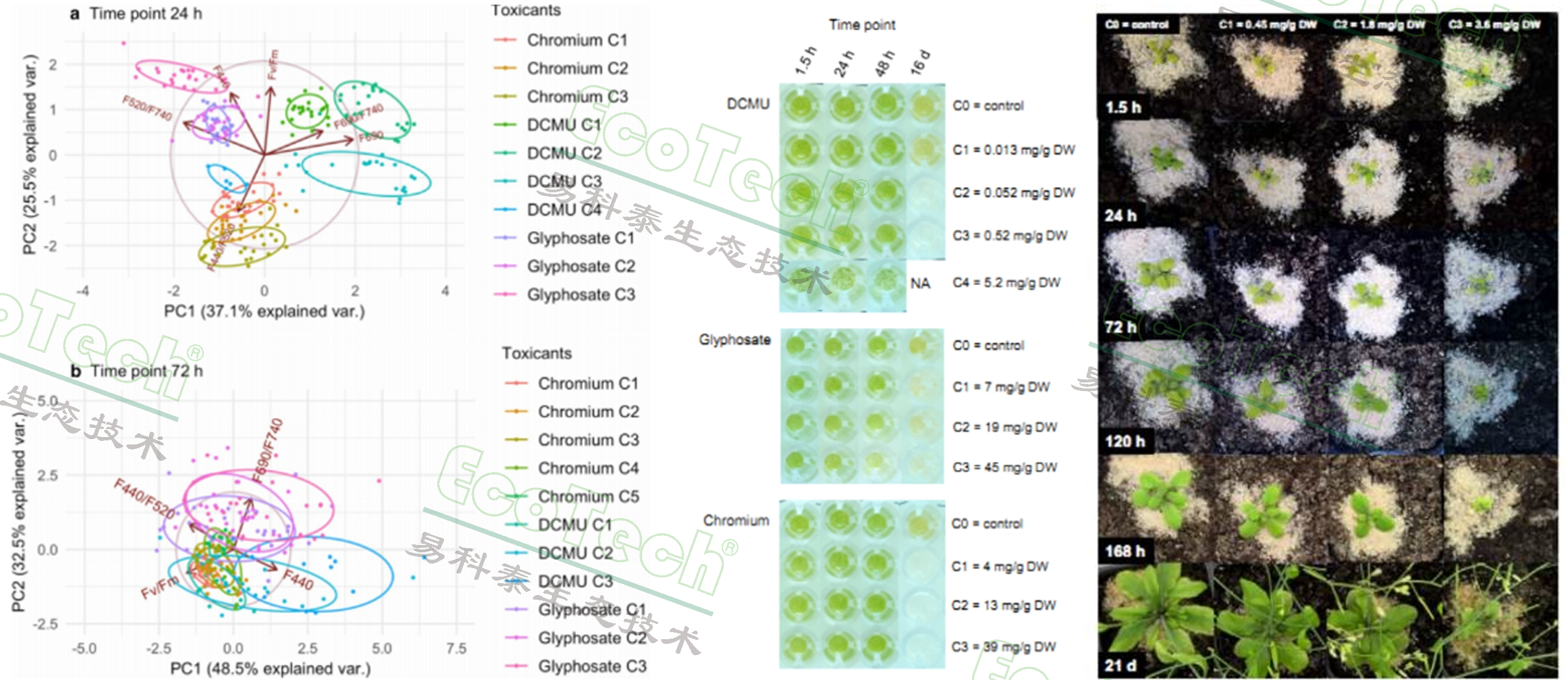 ��ҳ| ����֮��hy590���¹ٷ���վ