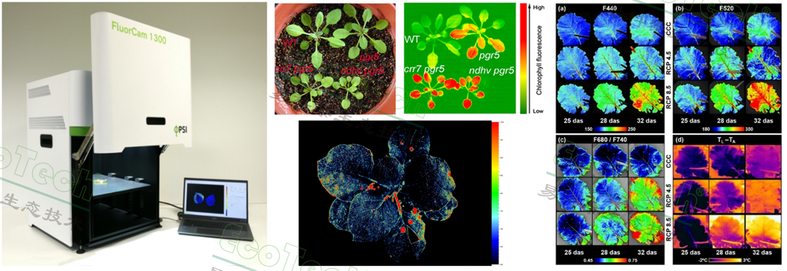 ��ҳ| ����֮��hy590���¹ٷ���վ