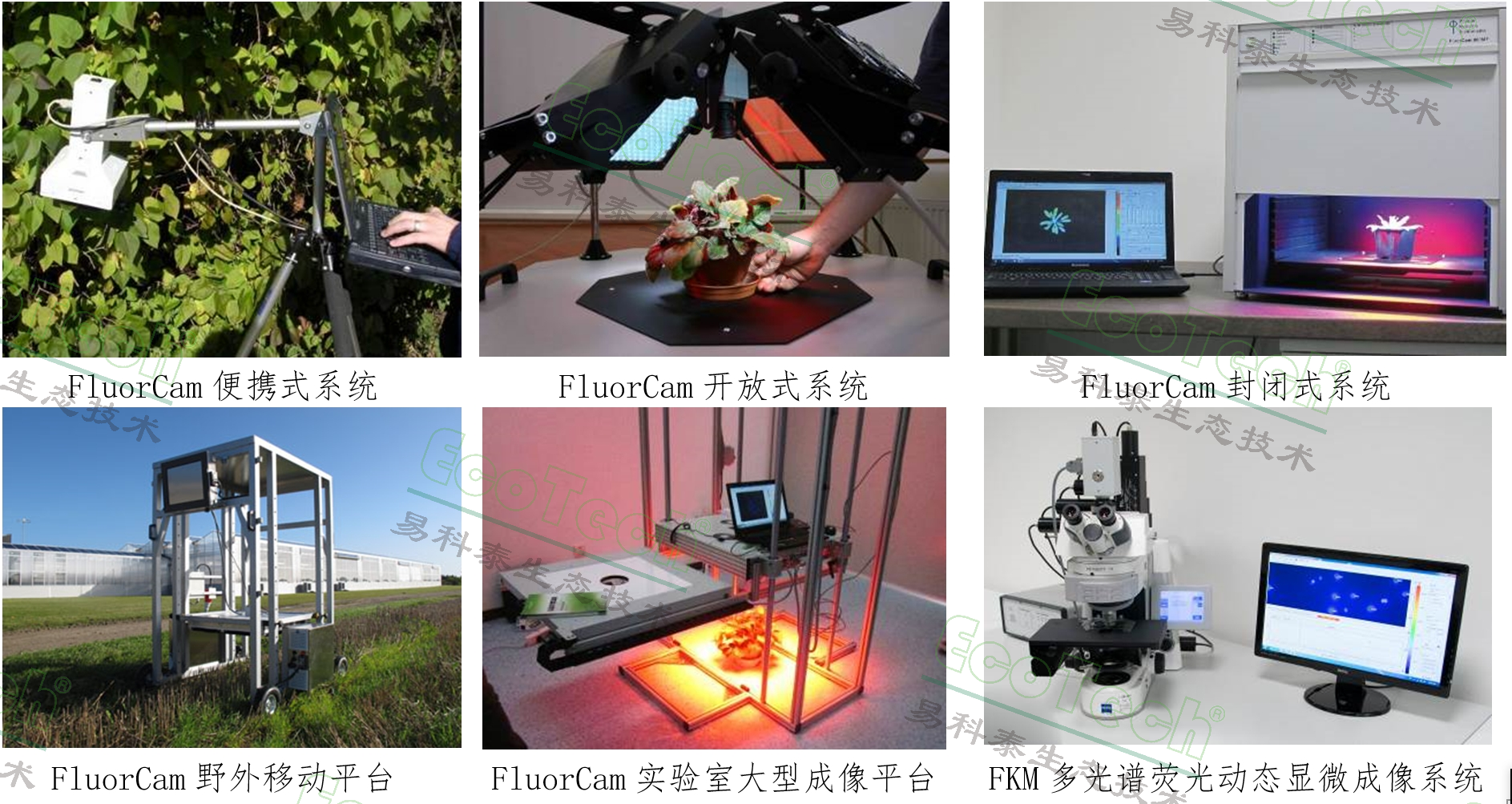 Ê×Ò³| º£ÑóÖ®Éñhy590×îйٷ½ÍøÕ¾