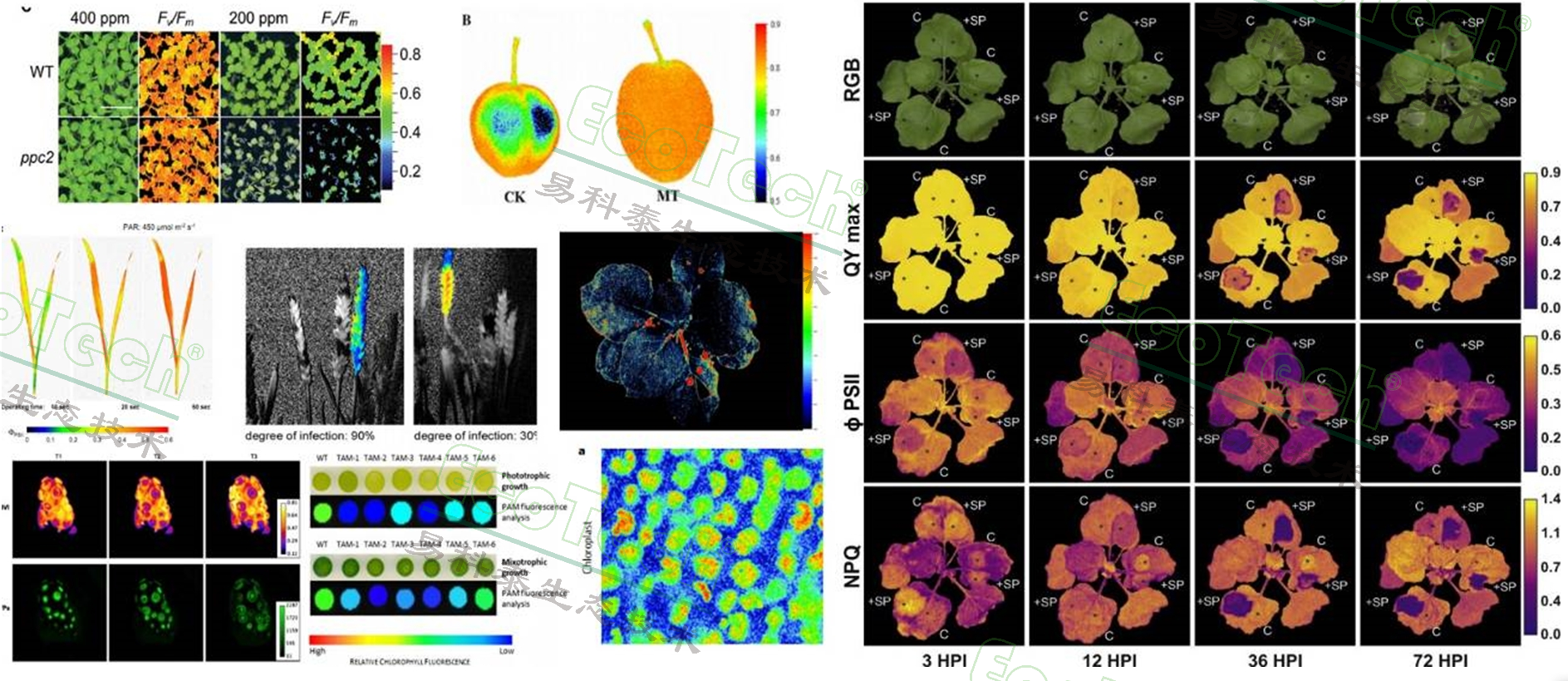 Ê×Ò³| º£ÑóÖ®Éñhy590×îйٷ½ÍøÕ¾