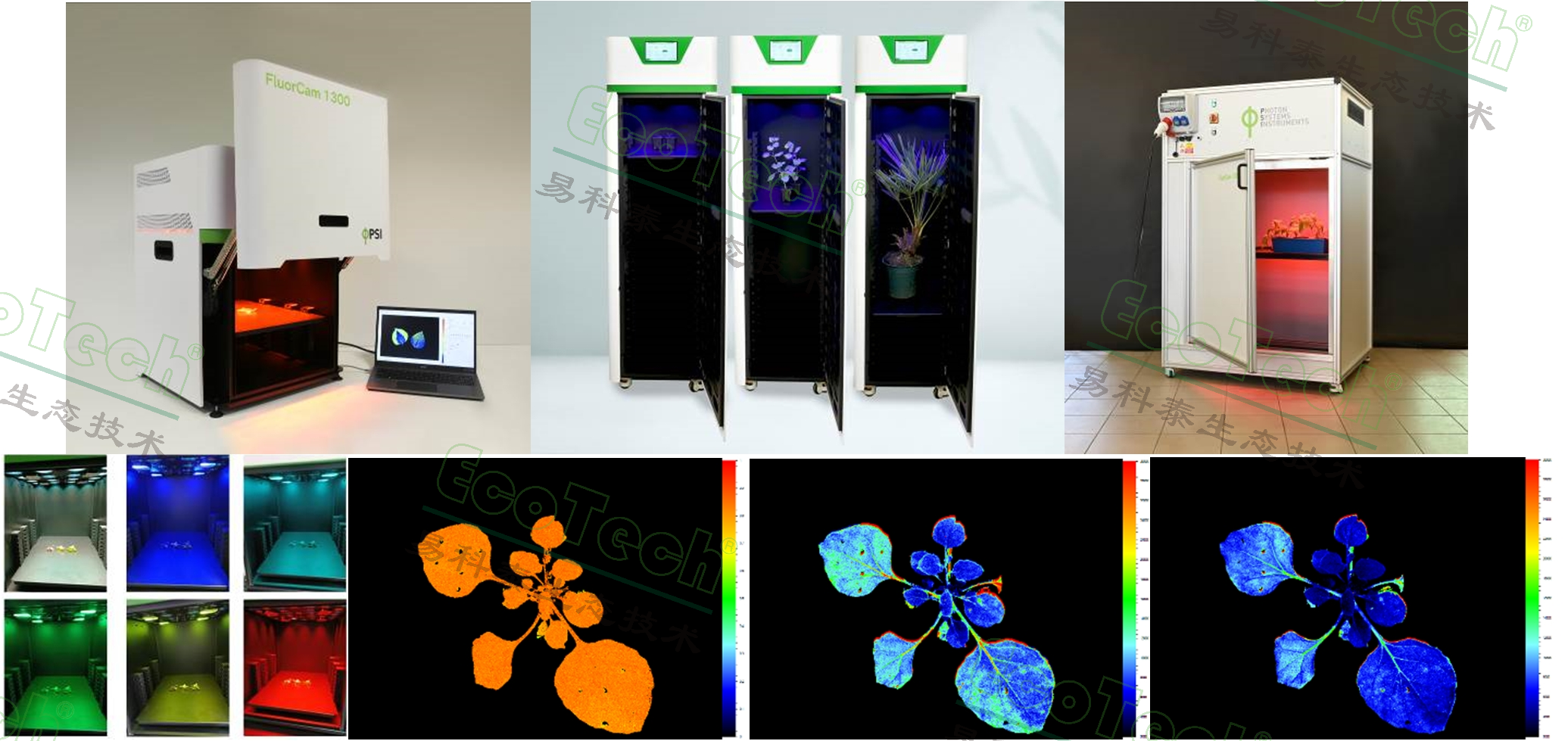 Ê×Ò³| º£ÑóÖ®Éñhy590×îйٷ½ÍøÕ¾